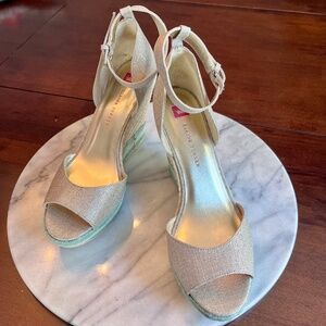 Elaine Turner Ariel Metallic Linen Jute Espadrille Platform Sz 10